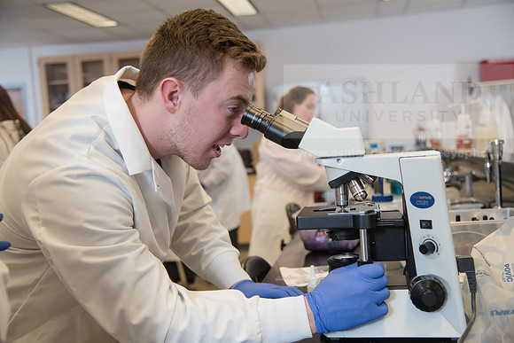 Microbiology Class - Dr. Paul Hyman