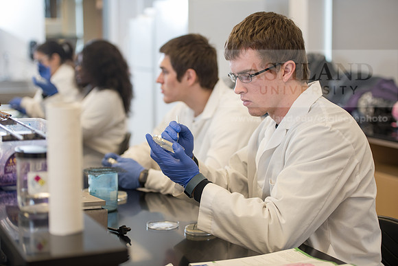 Microbiology Class - Dr. Paul Hyman