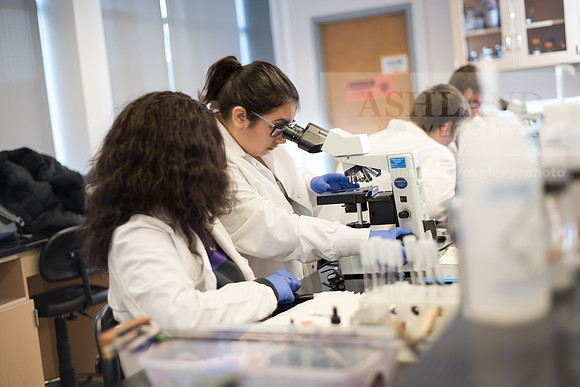 Microbiology Class - Dr. Paul Hyman
