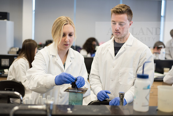 Microbiology Class - Dr. Paul Hyman