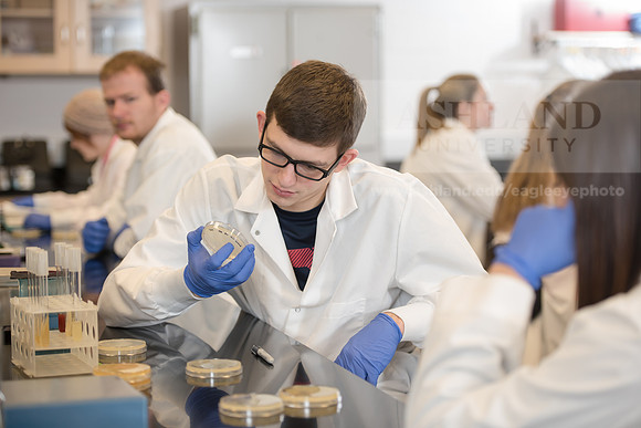 Microbiology Class - Dr. Paul Hyman