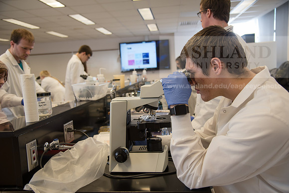 Microbiology Class - Dr. Paul Hyman