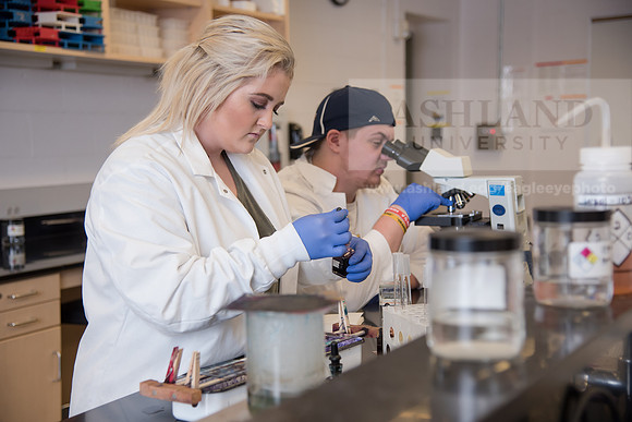 Microbiology Class - Dr. Paul Hyman