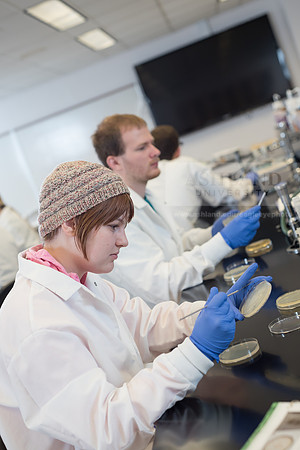 Microbiology Class - Dr. Paul Hyman