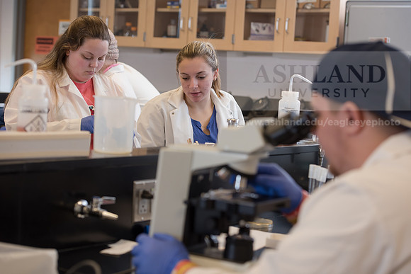 Microbiology Class - Dr. Paul Hyman