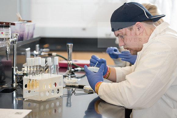 Microbiology Class - Dr. Paul Hyman