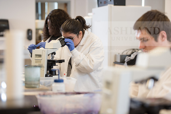 Microbiology Class - Dr. Paul Hyman