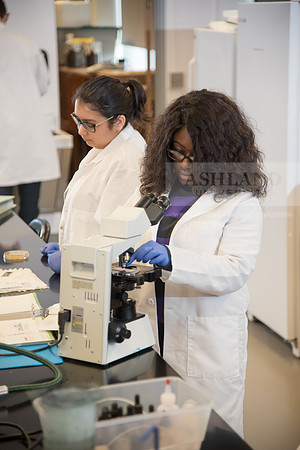 Microbiology Class - Dr. Paul Hyman