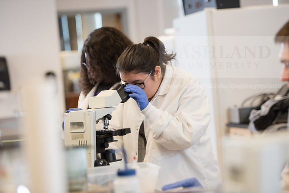 Microbiology Class - Dr. Paul Hyman
