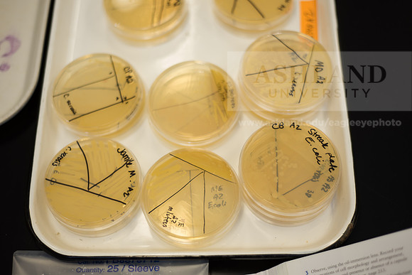 Microbiology Class - Dr. Paul Hyman