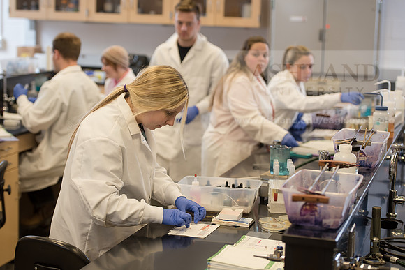 Microbiology Class - Dr. Paul Hyman