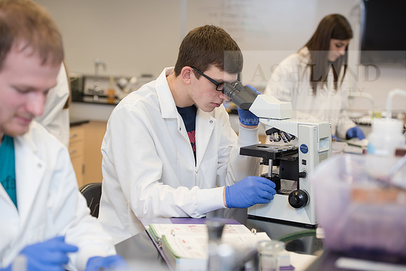 Microbiology Class - Dr. Paul Hyman