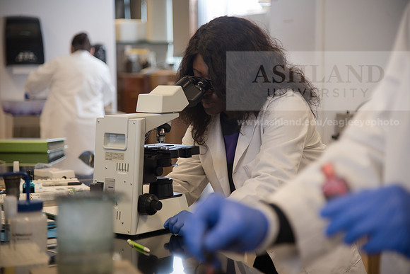 Microbiology Class - Dr. Paul Hyman