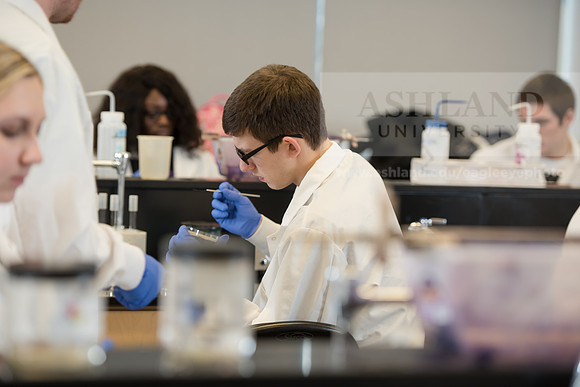 Microbiology Class - Dr. Paul Hyman