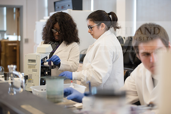 Microbiology Class - Dr. Paul Hyman
