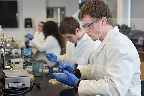 Microbiology Class - Dr. Paul Hyman