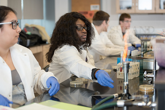Microbiology Class - Dr. Paul Hyman