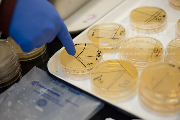 Microbiology Class - Dr. Paul Hyman