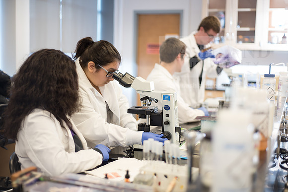 Microbiology Class - Dr. Paul Hyman