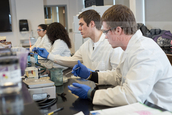 Microbiology Class - Dr. Paul Hyman