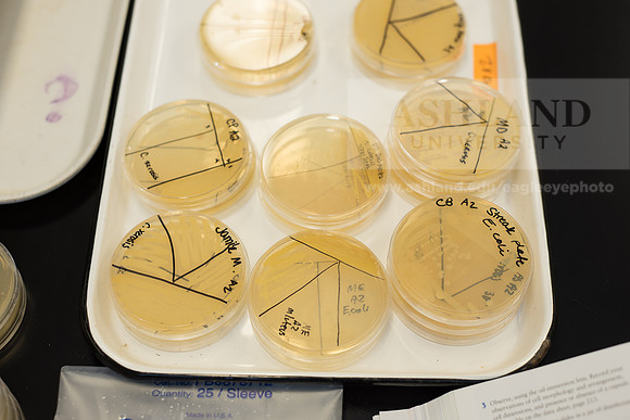 Microbiology Class - Dr. Paul Hyman