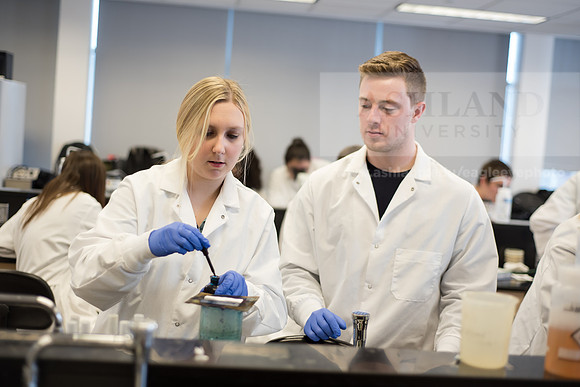 Microbiology Class - Dr. Paul Hyman