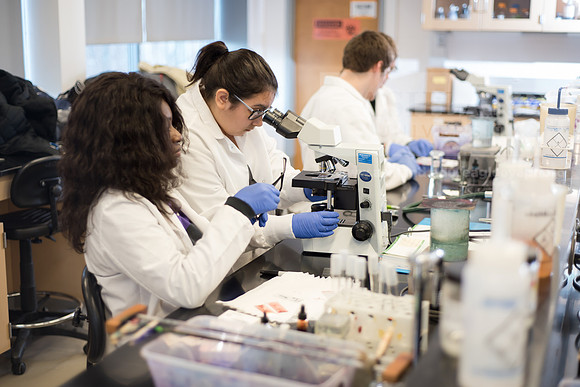 Microbiology Class - Dr. Paul Hyman