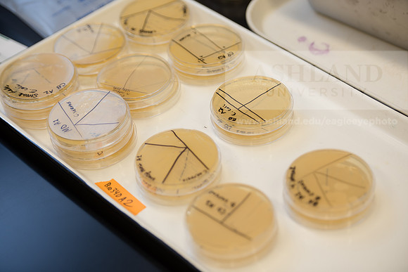 Microbiology Class - Dr. Paul Hyman