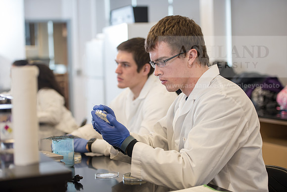 Microbiology Class - Dr. Paul Hyman