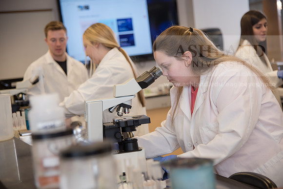 Microbiology Class - Dr. Paul Hyman