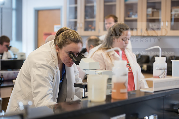 Microbiology Class - Dr. Paul Hyman