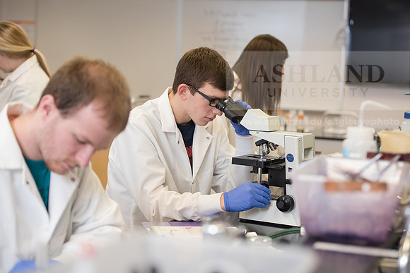 Microbiology Class - Dr. Paul Hyman