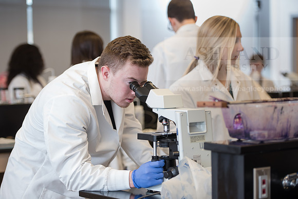 Microbiology Class - Dr. Paul Hyman