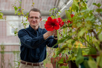 Professor Andrew Trimble