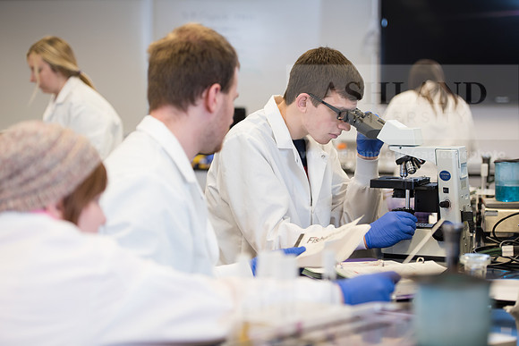 Microbiology Class - Dr. Paul Hyman