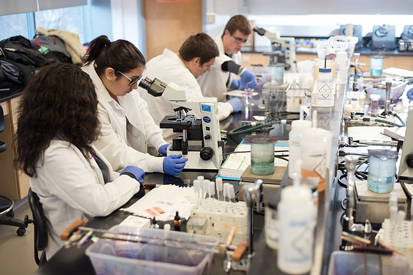 Microbiology Class - Dr. Paul Hyman