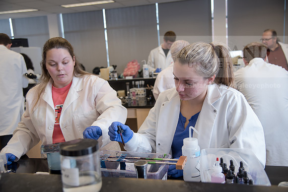 Microbiology Class - Dr. Paul Hyman