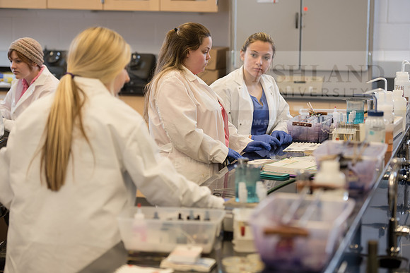 Microbiology Class - Dr. Paul Hyman
