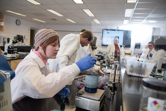 Microbiology Class - Dr. Paul Hyman