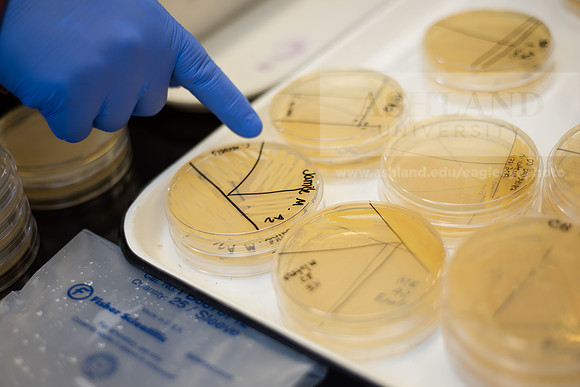 Microbiology Class - Dr. Paul Hyman