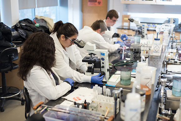 Microbiology Class - Dr. Paul Hyman