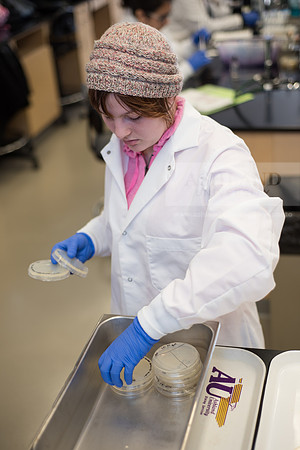 Microbiology Class - Dr. Paul Hyman