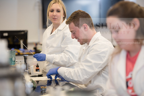 Microbiology Class - Dr. Paul Hyman