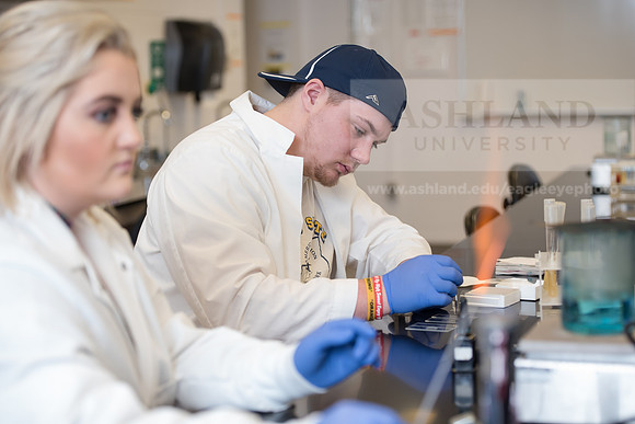 Microbiology Class - Dr. Paul Hyman