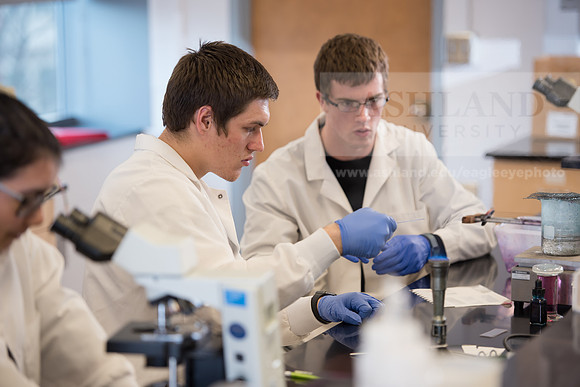 Microbiology Class - Dr. Paul Hyman