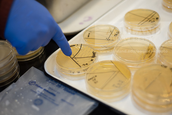 Microbiology Class - Dr. Paul Hyman