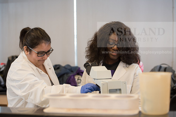 Microbiology Class - Dr. Paul Hyman