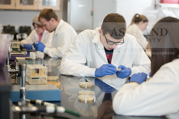 Microbiology Class - Dr. Paul Hyman