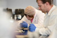 Microbiology Class - Dr. Paul Hyman