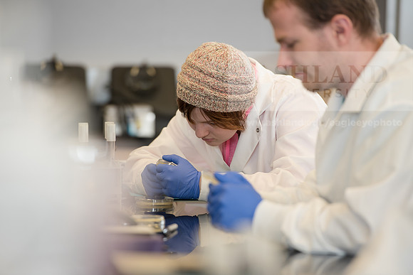 Microbiology Class - Dr. Paul Hyman